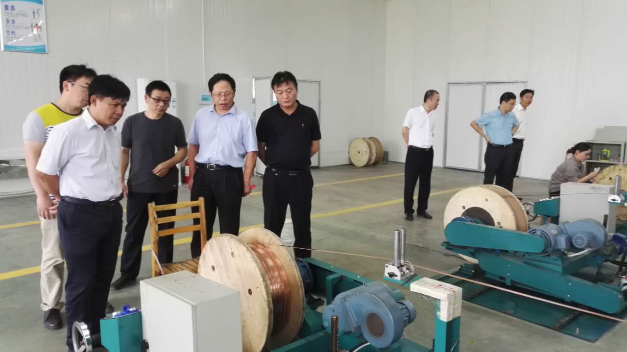 圖為：湖南省委政研室李主任一行在岳陽縣楊副縣長，梁主任等的陪同下考察公司的無塵車間。